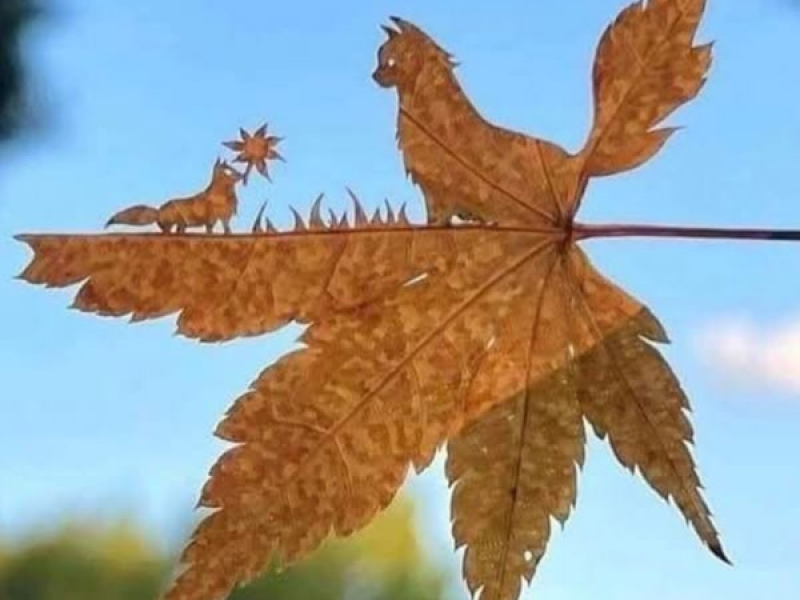 Mata masih berat (Single)