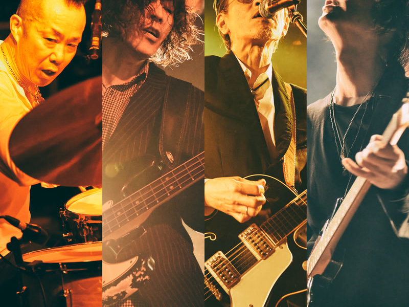 LOVE ROCKETS (Single)