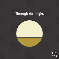 Through the Night - Single