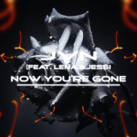 now you're gone (Single)