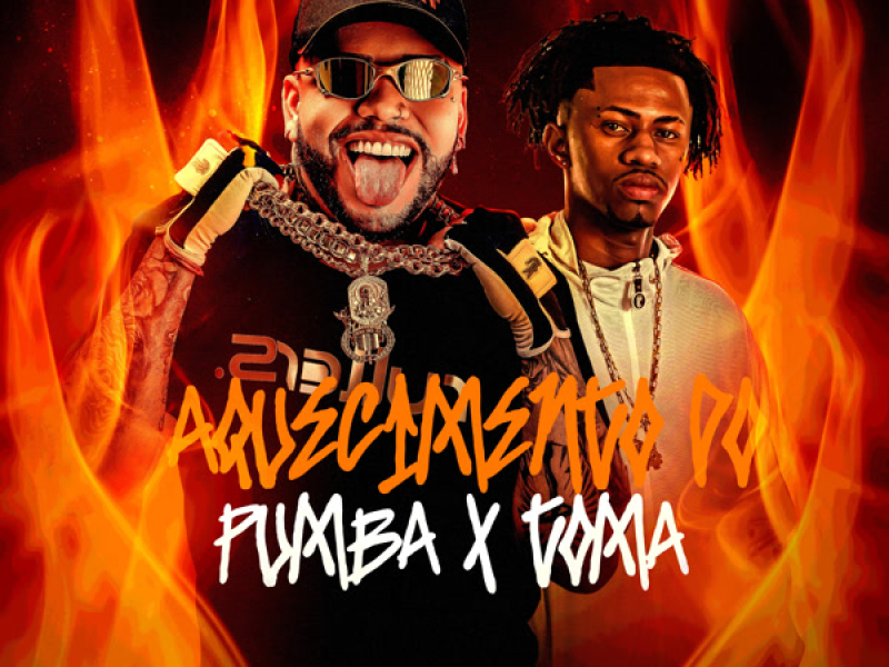 AQUECIMENTO DO PUMBA X TOMA (Single)