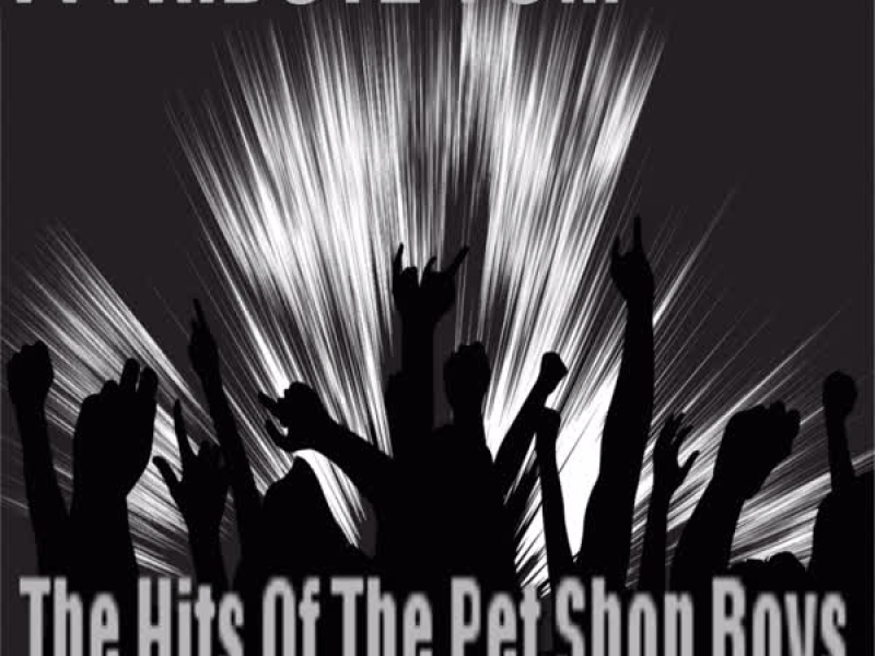 A Tribute To The Hits Of The Pet Shop Boys