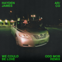 We Could Be Love (Odd Mob Remix) (Single)