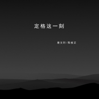 定格这一刻 (Single)