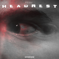 Headrest (Single)