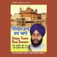 Satguru Tumre Kaaj Saware Vol-10