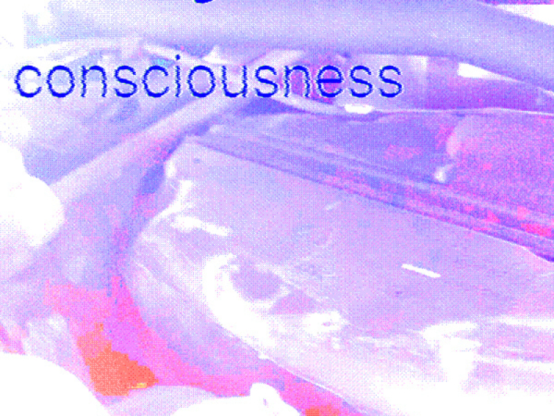 Chasing Consciousness (EP)