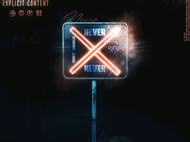 Never (Single)