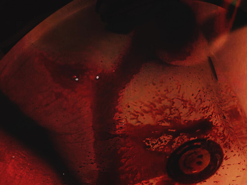 bloodflow (feat. OhTruman) (Single)