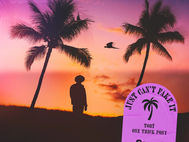 Just Can't Fake It (Single)