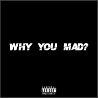 Why You Mad? (Single)