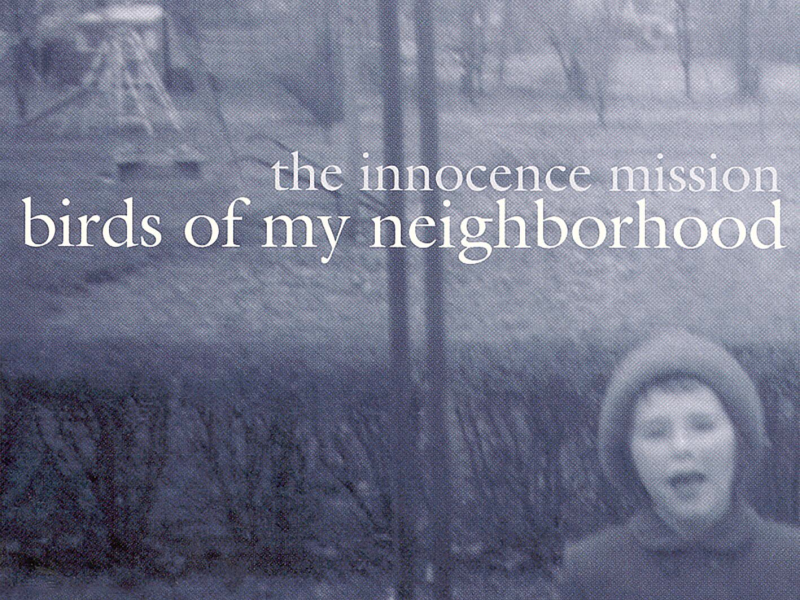 Birds Of My Neighborhood