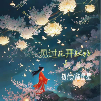 见过花开就好了 (Single)