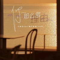 你那么多理由 (Single)