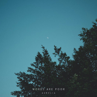 Words Are Poor (Single)