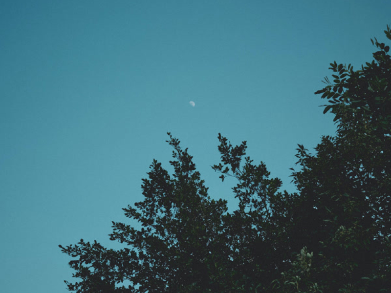 Words Are Poor (Single)