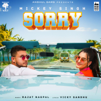 Sorry (Single)