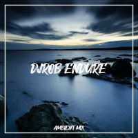 Endure (Single)