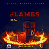 Flames (Single)