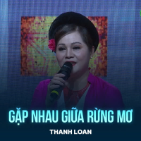 Gặp Nhau Giữa Rừng Mơ (Lofi) (Single)