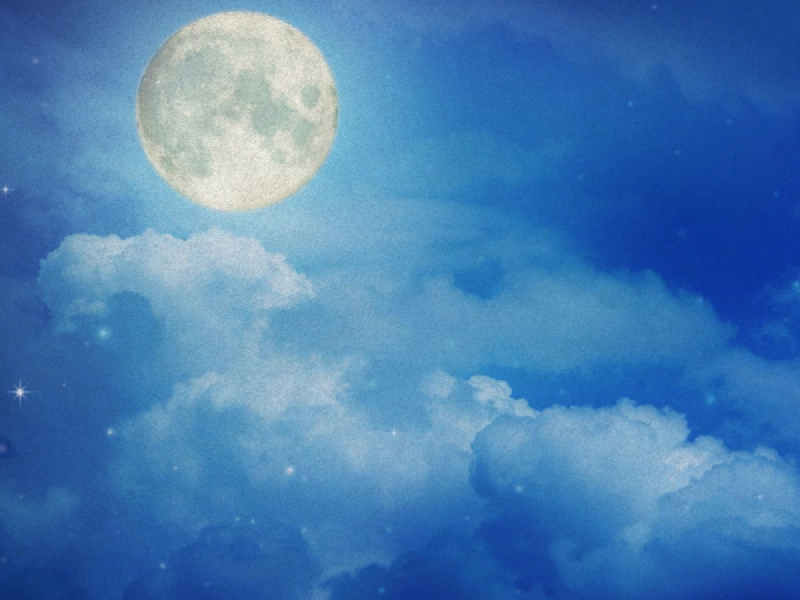 Moonlit Minuet (Single)