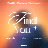Find You (Single)