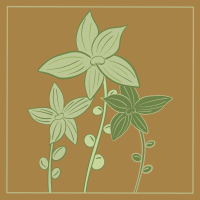 Mind Garden (Single)