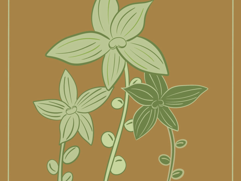 Mind Garden (Single)