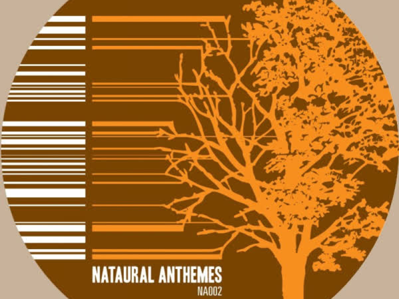 Antheme 02: Studies in Detailed Design (Attention II Detail Disorder Remixed)