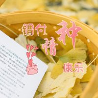 错付情种 (Single)