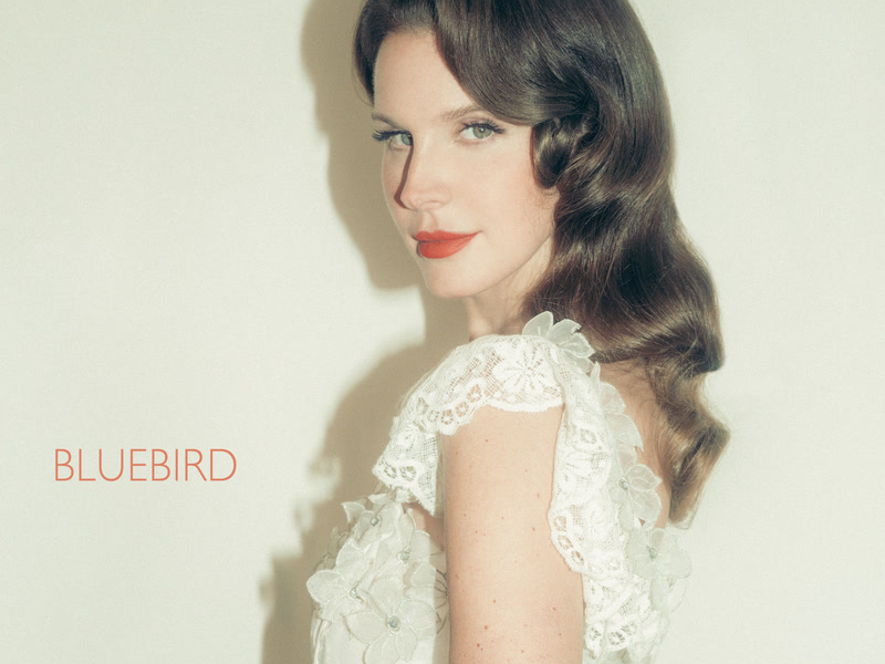Bluebird (Single)