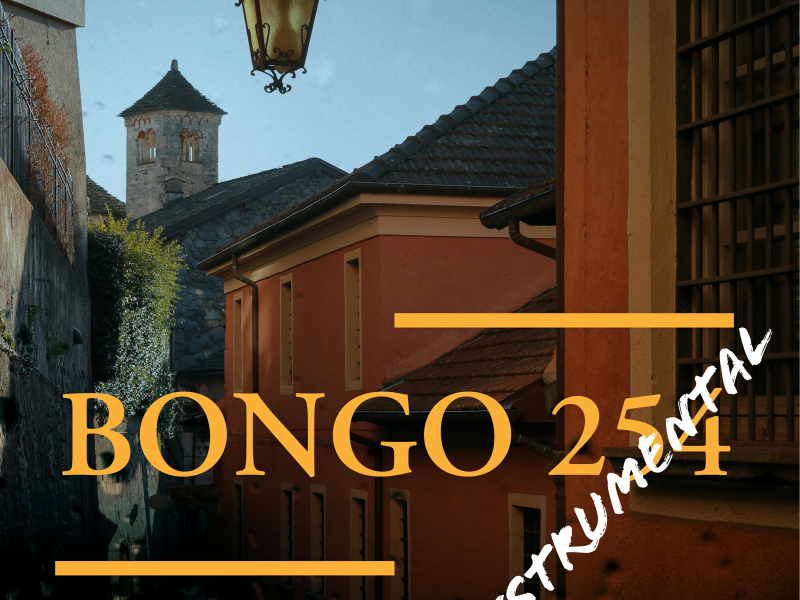Bongo 254 (Instrumental) (Single)