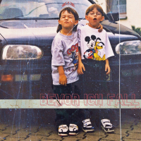 Bevor Ich Fall (Single)