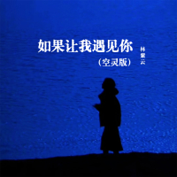 如果让我遇见你 (空灵版) (Single)