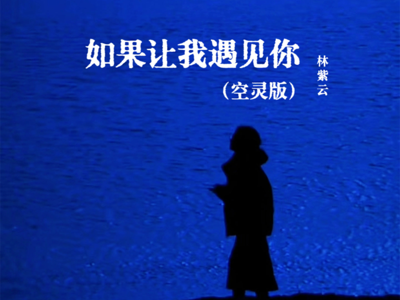 如果让我遇见你 (空灵版) (Single)