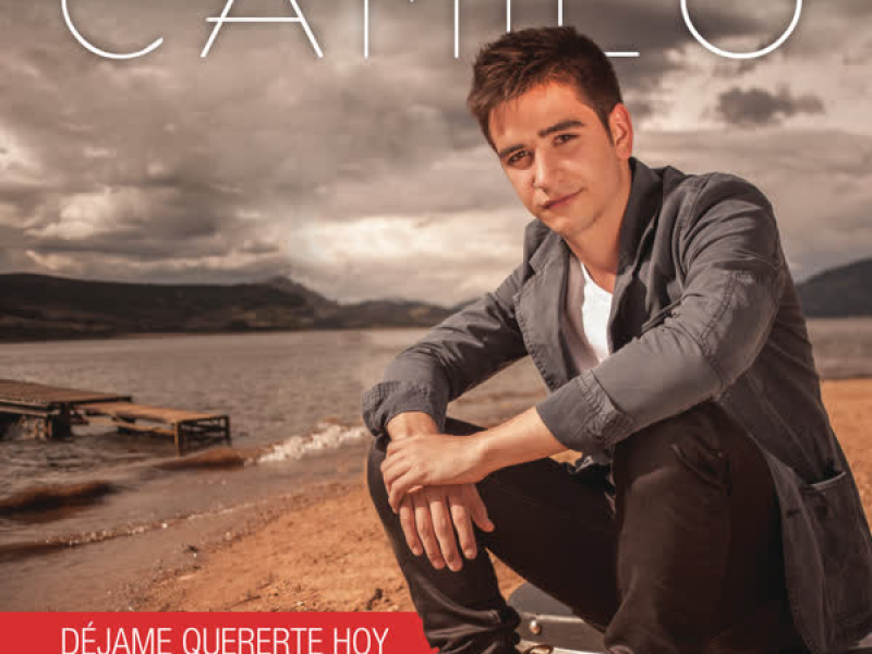 Déjame Quererte Hoy (Album Version) (Single)