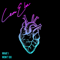 What I Won't Do (Single)