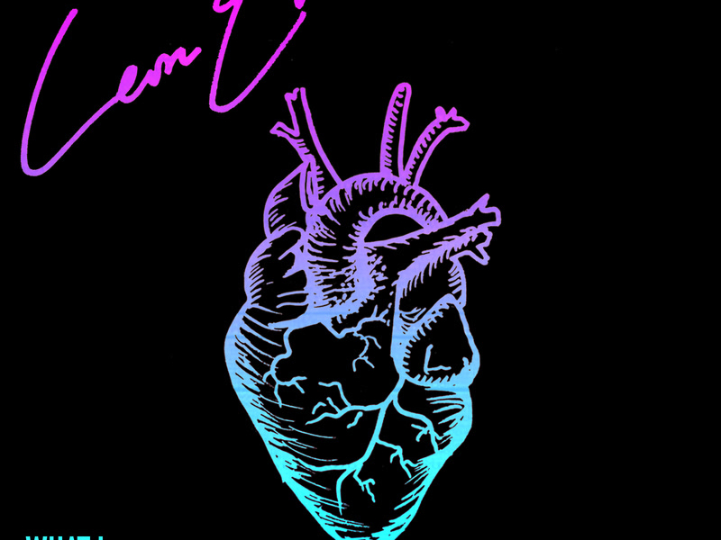 What I Won't Do (Single)