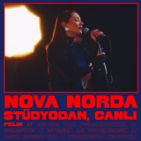 Pelin (Stüdyodan, Canlı) (Single)