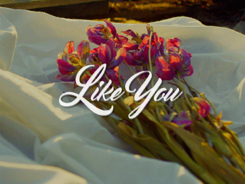 Like You (Single)