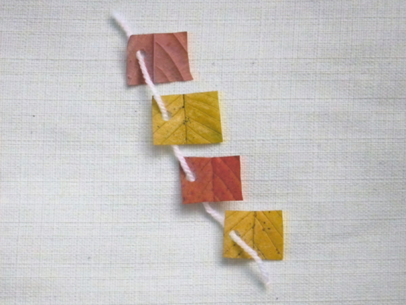 Falling Leaves (Single)