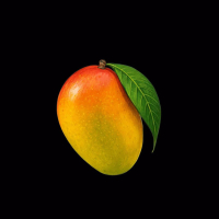 Mango (Single)