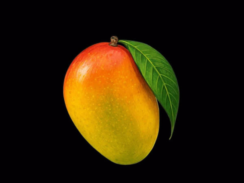 Mango (Single)
