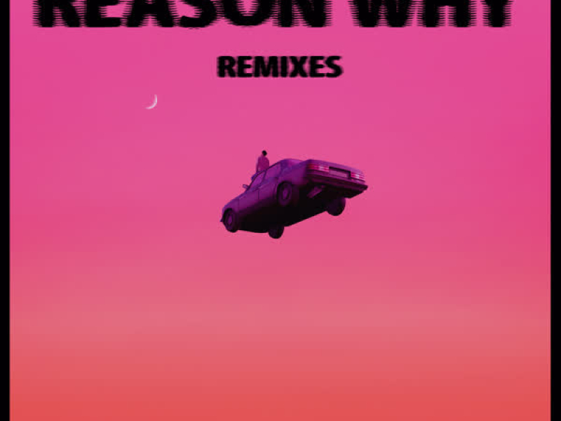Reason Why (Remixes) (EP)