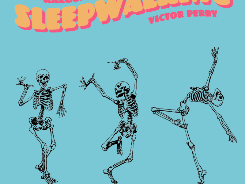 Sleepwalking (Pink Panda House Edit) (Single)