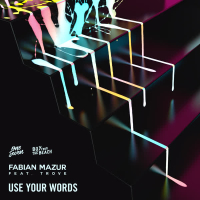 Use Your Words (Single)
