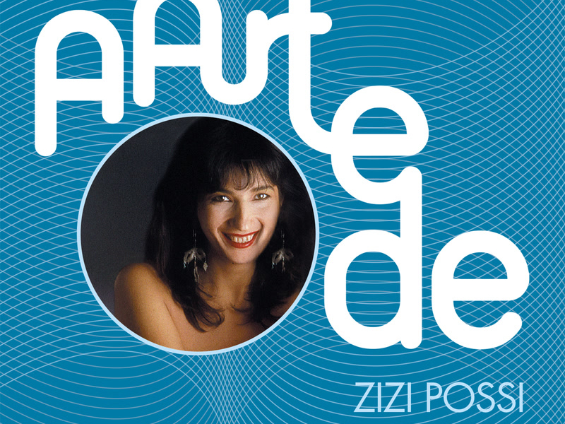 A Arte De Zizi Possi