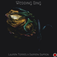 Wedding Ring (feat. Darrein Safron, Ice Cold Mystic Mind & The Broke Scholar) (Single)