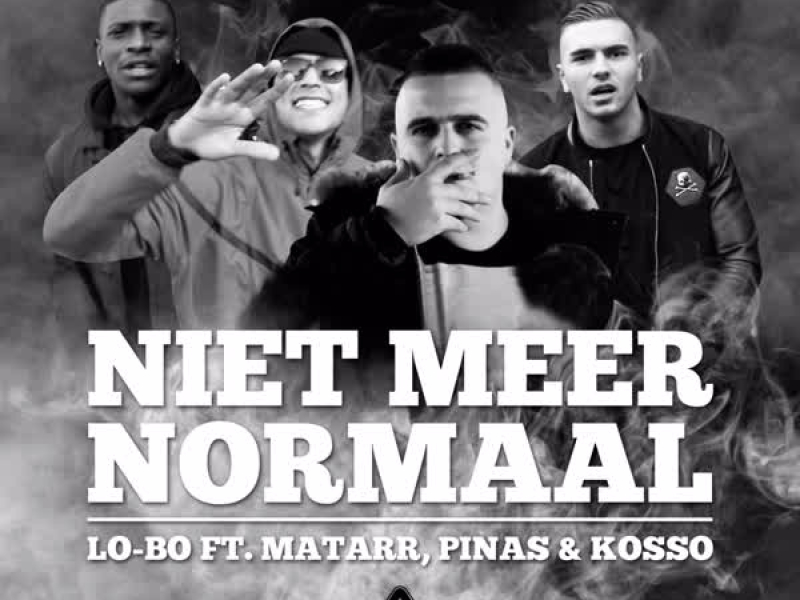 Niet Meer Normaal (Single)