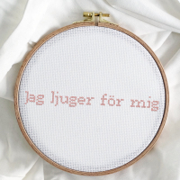 Jag ljuger för mig (Single)